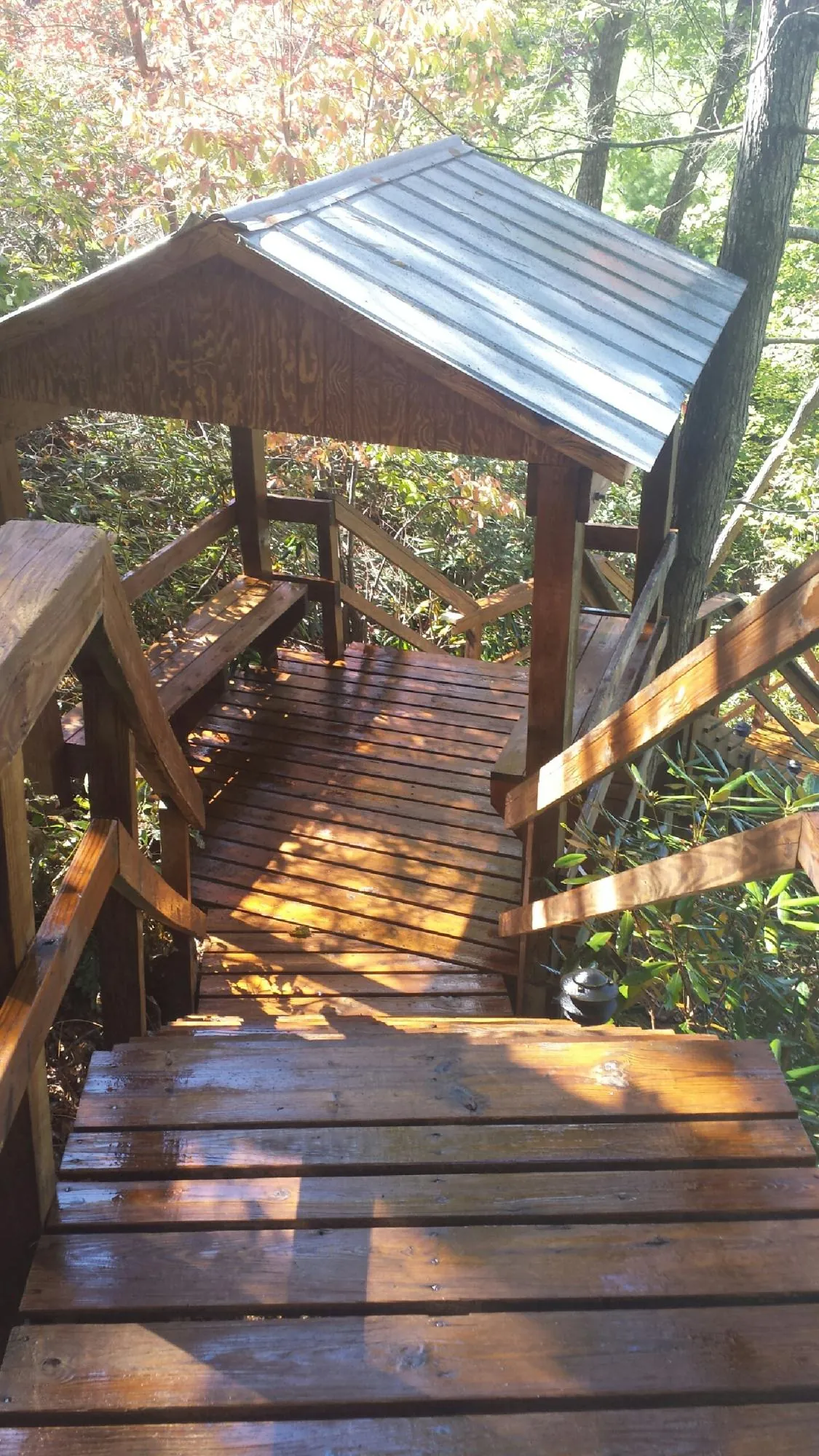 Freshly stained wood walkway and covered shelter with a metal roof in Narberth